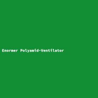 Enormer Polyamid-Ventilator
