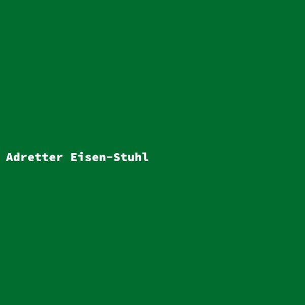 Adretter Eisen-Stuhl