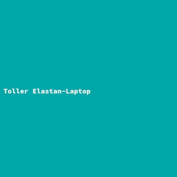 Toller Elastan-Laptop