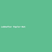 Lebhafter Papier-Hut